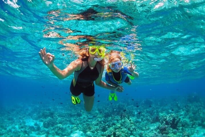 Private Half-Day Snorkel & Paddle Catamaran in Providenciales, Turks and Caicos photo 5