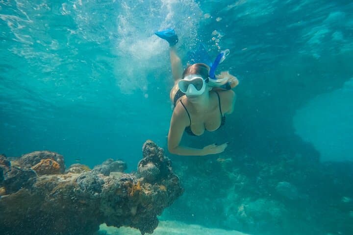 Private Half-Day Luxury Snorkeling in Providenciales — Explore the Turks and Caicos Barrier Reef photo 1