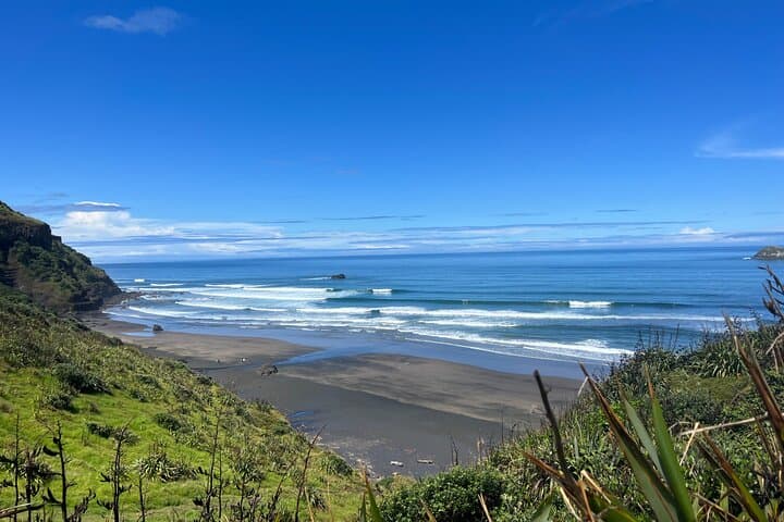 Auckland to the Wild West: Black-Sand Beaches, Gannets & Waitākere Ranges Full-Day Tour