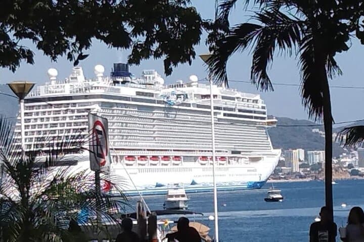 Six-Hour Acapulco Highlights Tour: La Quebrada Divers, Turtle Release & City Market photo 3