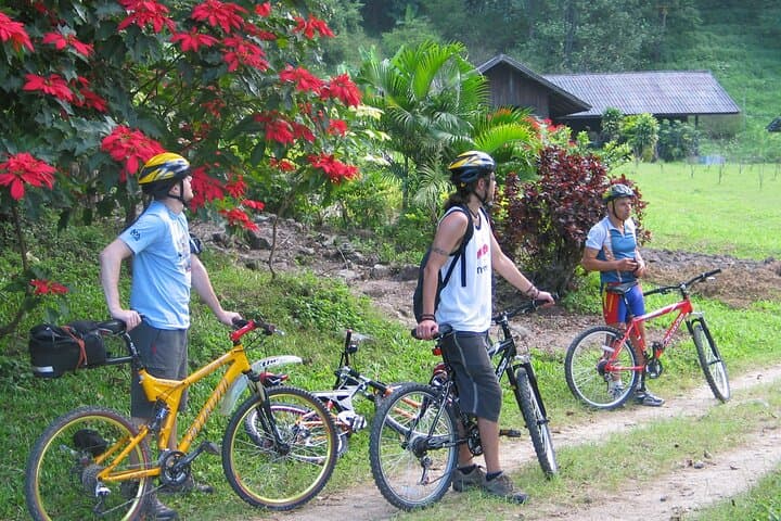 Advanced XC Downhill Biking on Doi Suthep — Chiang Mai Full-Day Ride photo 5