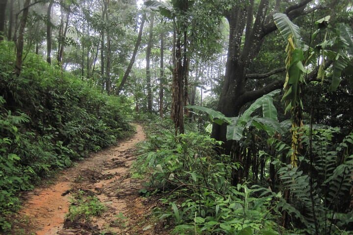 Advanced XC Downhill Biking on Doi Suthep — Chiang Mai Full-Day Ride photo 6