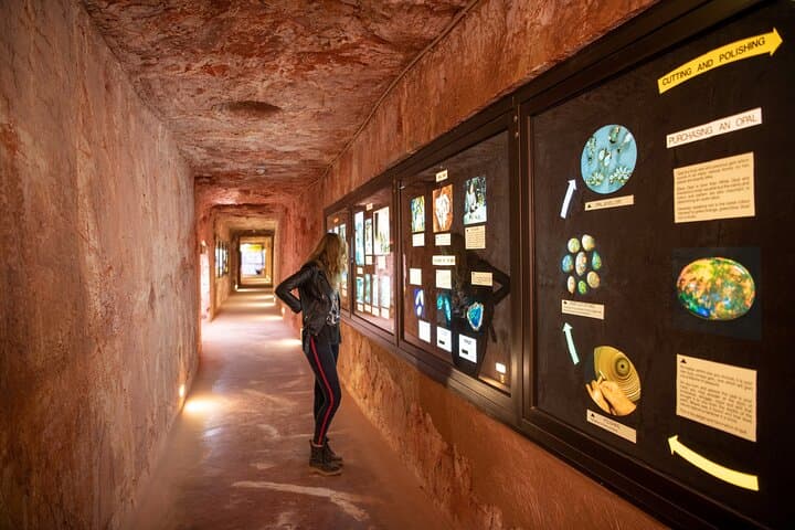 7-Day Adelaide to Uluru Outback Adventure: Flinders, Coober Pedy & Kings Canyon photo 5