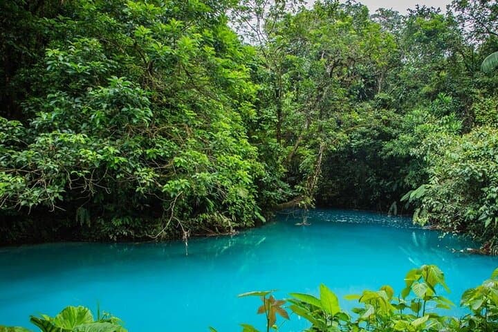 Río Celeste Full-Day Hike: Waterfall, Blue River & Natural Hot Springs photo 3
