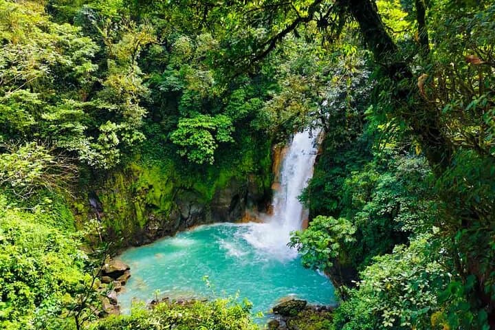 Río Celeste Full-Day Hike: Waterfall, Blue River & Natural Hot Springs photo 4