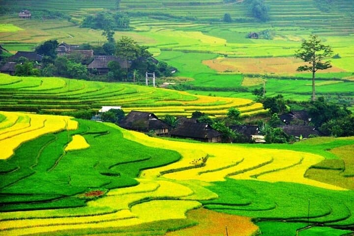 Sapa and Ha Giang 6-Day Luxury Trek and Ha Giang Loop Adventure