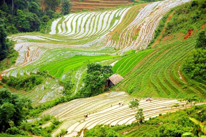 Sapa and Ha Giang 6-Day Luxury Trek and Ha Giang Loop Adventure photo 4