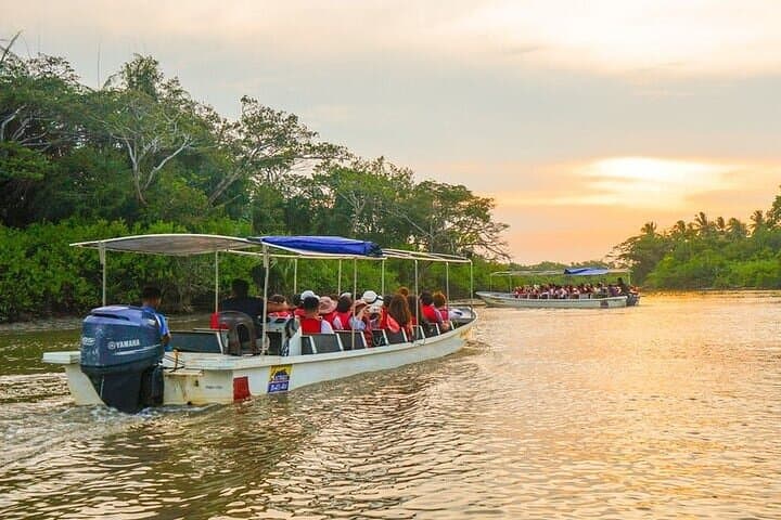 Klias River Safari from Kota Kinabalu - Proboscis Monkeys and Firefly Cruise