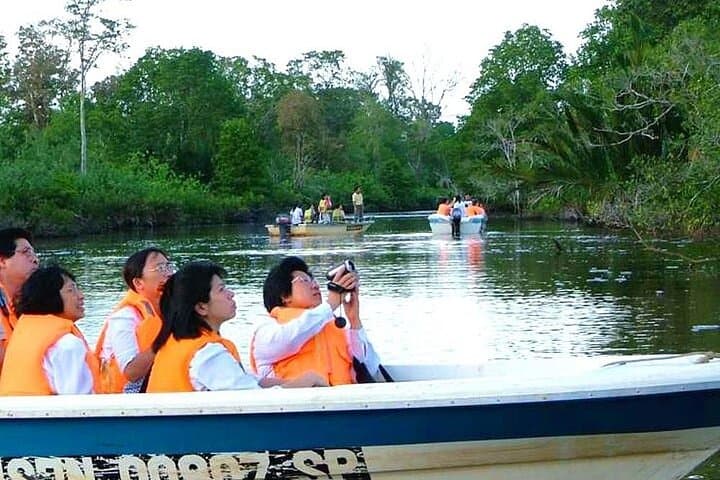 Klias River Safari from Kota Kinabalu - Proboscis Monkeys and Firefly Cruise photo 4