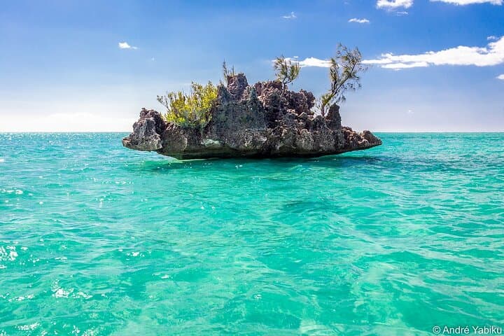 Full-Day Dolphins Encounter to Ile aux Benitiers & Crystal Rock — Speedboat Trip in Mauritius photo 4