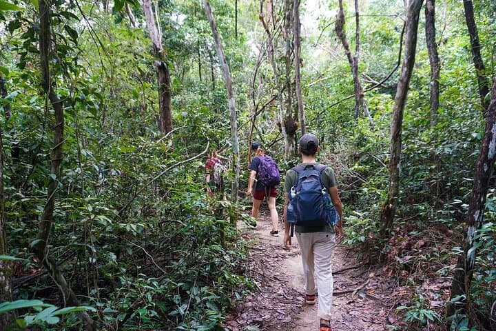 Jungle Trek to Phnom Kulen: Valley of 1000 Lingas & Waterfall Swim from Siem Reap photo 3