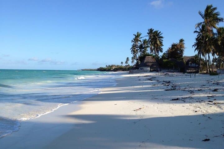 Zanzibar Starfish Blue Lagoon Snorkeling and Lunch at The Rock (Michamvi) photo 3