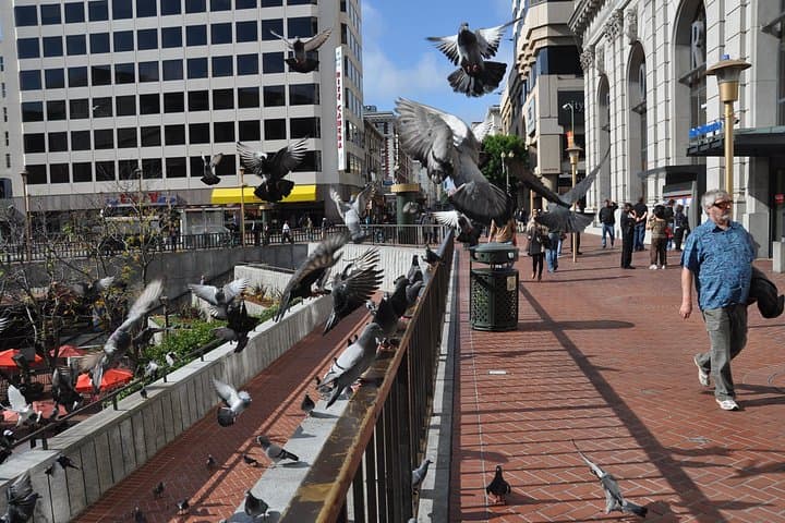 San Francisco Street & Art Photography Class: Capture the City Like a Pro photo 2