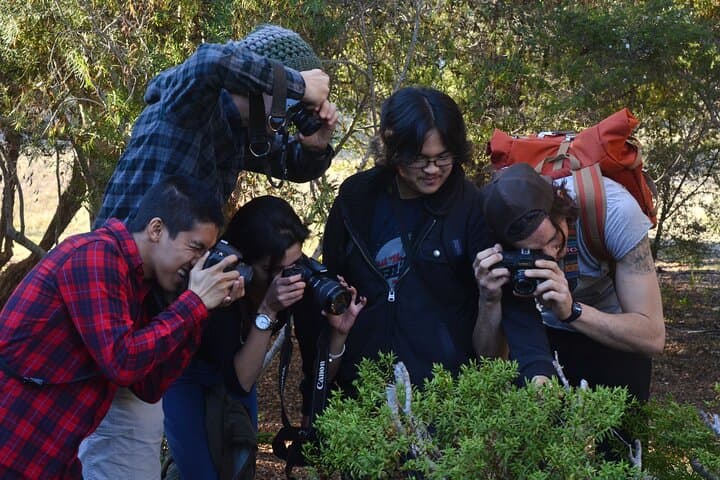 San Francisco Street & Art Photography Class: Capture the City Like a Pro photo 1