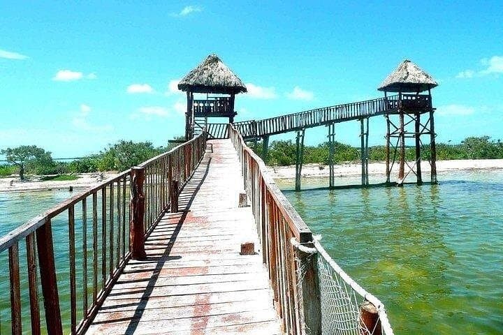 Day Trip to Isla Holbox from Playa del Carmen — Yalahau Cenote, Isla Pasion & Punta Mosquito photo 5