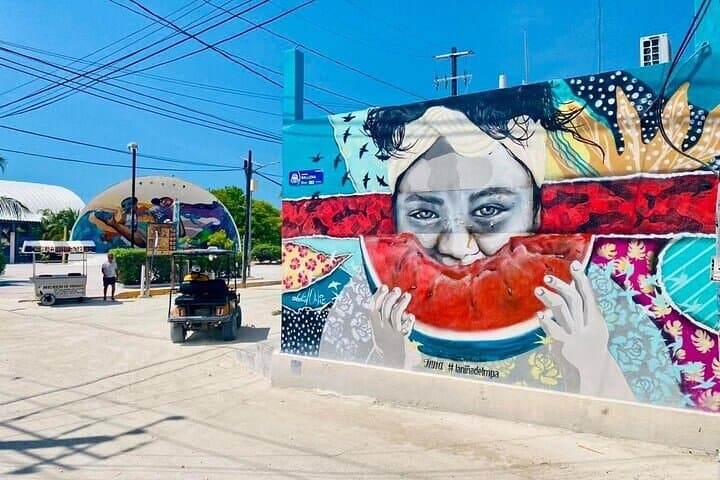 Holbox, Yalahau & Punta Mosquito Day Trip from Tulum — Isla Pasion Boat Tour photo 4