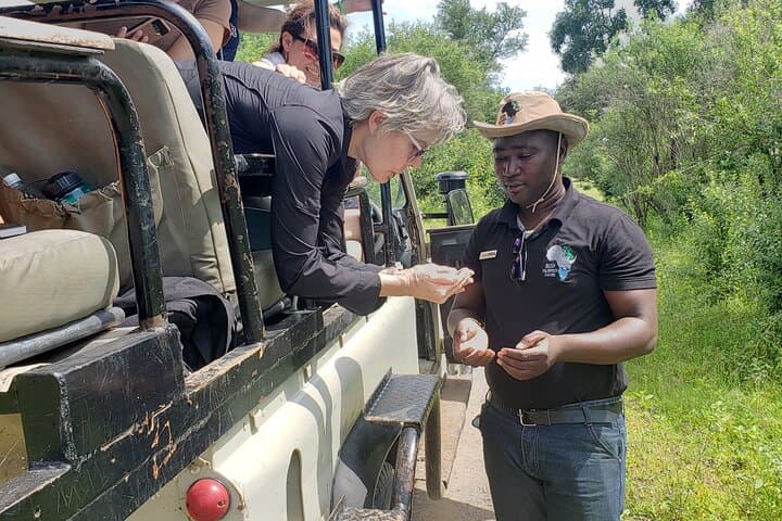 Mosi-oa-Tunya Game Drive with White Rhino Short Walk (Livingstone) photo 3