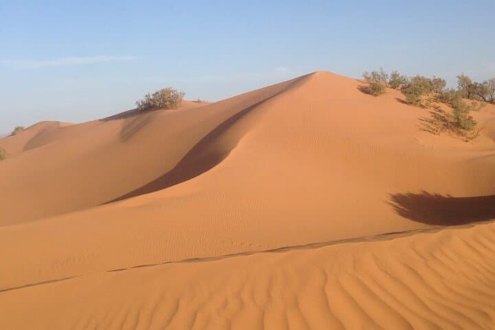 Mini Sahara Jeep Tour from Agadir: Tifnit, Massa Valley & Berber Lunch