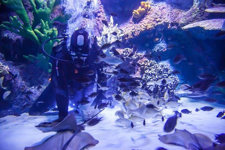 Side to Antalya Day Tour: Alexander Waterfall, Antalya Aquarium & Old City