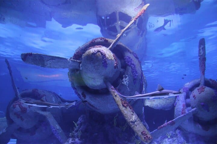 Side to Antalya Day Tour: Alexander Waterfall, Antalya Aquarium & Old City photo 2