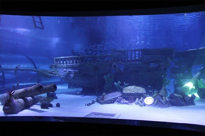 Side to Antalya Day Tour: Alexander Waterfall, Antalya Aquarium & Old City photo 3
