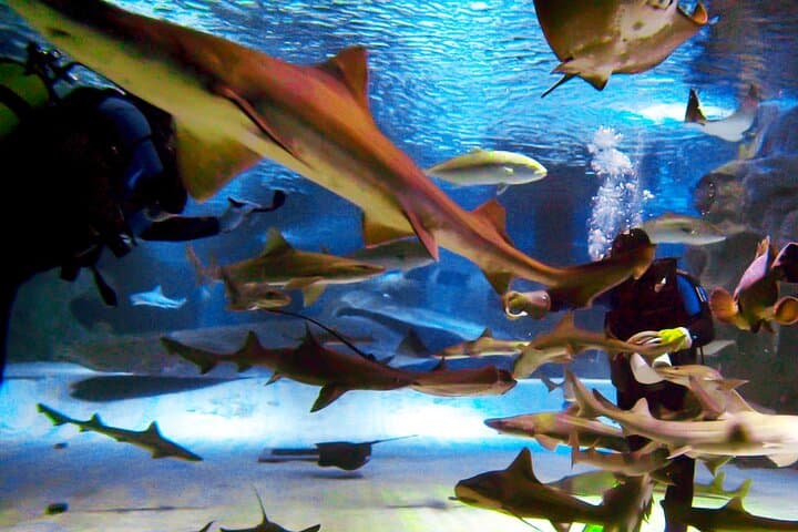 Side to Antalya Day Tour: Alexander Waterfall, Antalya Aquarium & Old City photo 4
