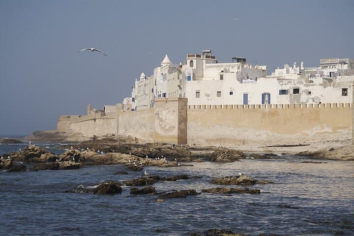 Essaouira Full-Day Coastal Escape from Marrakech — Medina, Beaches & Argan Stops
