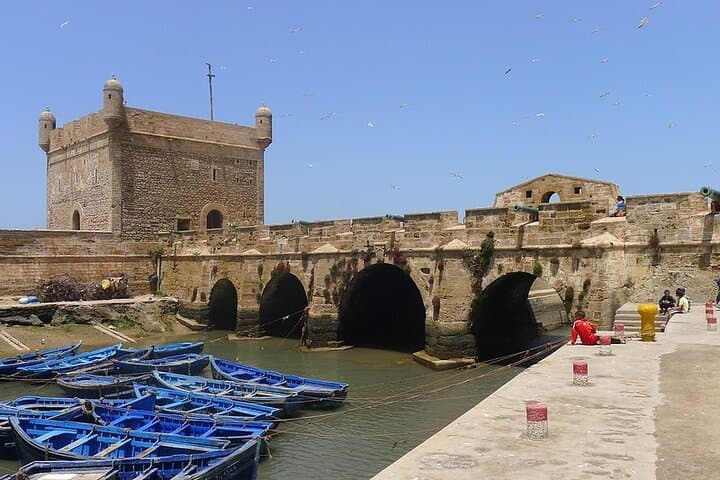 Essaouira Full-Day Coastal Escape from Marrakech — Medina, Beaches & Argan Stops photo 4
