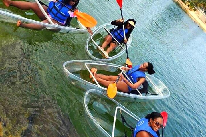Clear Kayaking in Tobago: Glass-Deck Kayak Tours from Swallows Beach photo 5