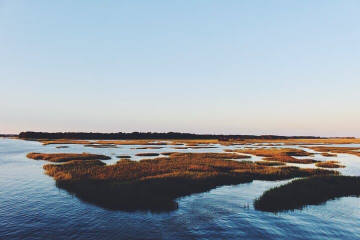 Half-Day Private Charleston Historic District & Old Village Tour photo 3