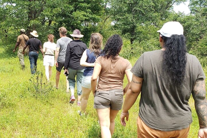 Mosi-oa-Tunya Game Drive with White Rhino Short Walk (Livingstone) photo 4