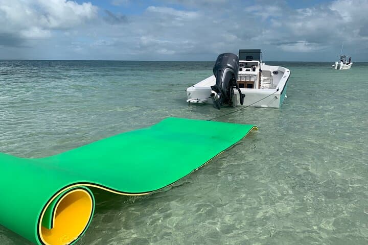 Key West Private Boat Tour: Sandbar Snorkel, Dolphins & Sunset Cruise photo 4