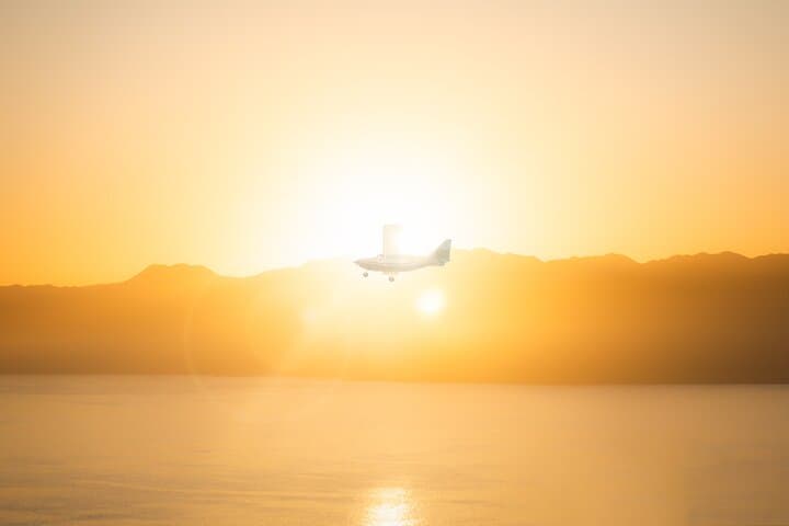 40-Minute Kaikōura Whale Watching Flight — Sperm Whales & Coastal Alps photo 4