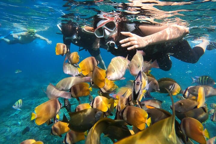 Private Snorkeling in Nusa Penida: Manta Bay, Gamat Bay & Crystal Bay photo 4