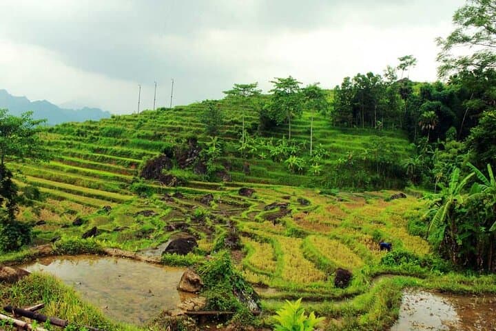 Pu Luong 3-Day Trek: Hieu Waterfall, Infinity Pool & Cave Explorer photo 3