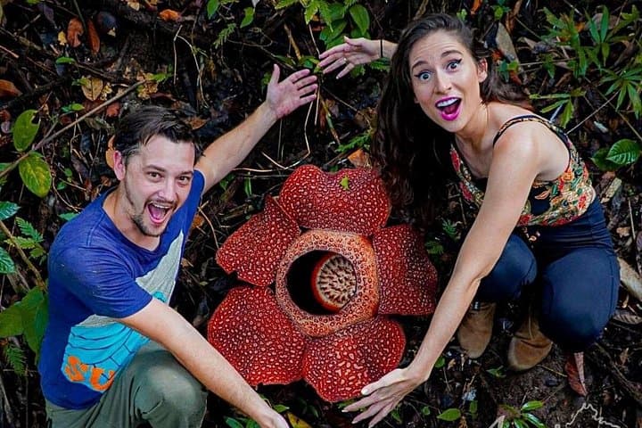 See Borneo’s Giant Rafflesia: Tambunan Rainforest Reserve Tour from Kota Kinabalu