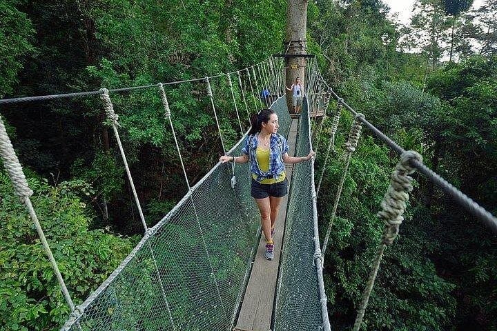 Poring Hot Springs & Treetop Canopy Walk Day Tour from Kota Kinabalu