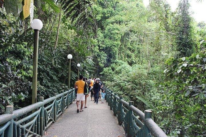 Poring Hot Springs & Treetop Canopy Walk Day Tour from Kota Kinabalu photo 4
