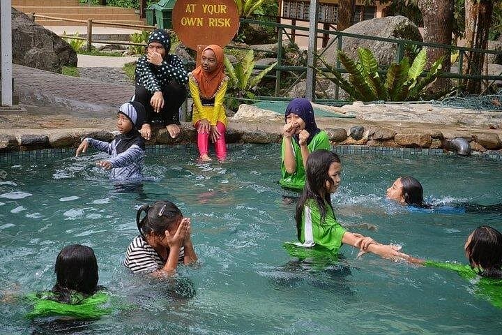 Poring Hot Springs & Treetop Canopy Walk Day Tour from Kota Kinabalu photo 2