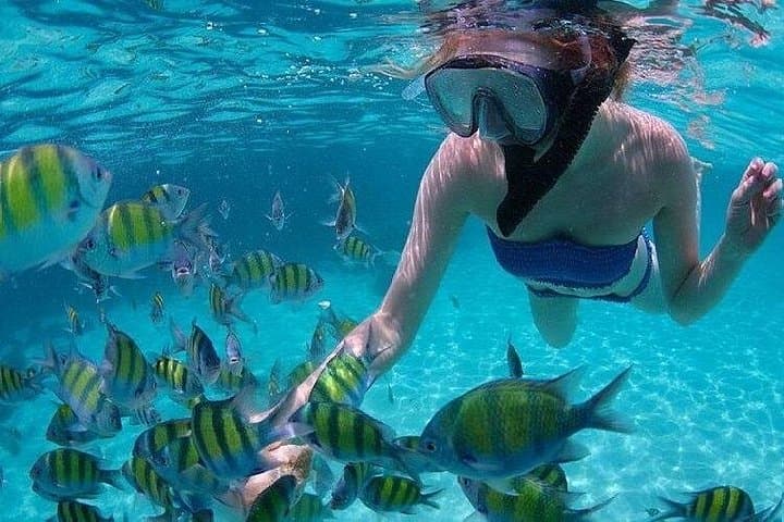 Khai Island Full-Day Speedboat Tour from Phuket: Snorkel, Sandbars & Tropical Fish photo 3