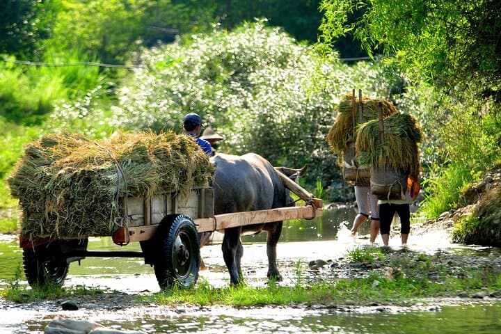 Pu Luong Nature Reserve 2-Day Trek & Bamboo Rafting from Hanoi photo 6