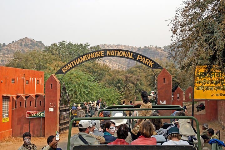 Jaipur to Ranthambore: One-Day Tiger Safari and Wildlife Drive photo 1