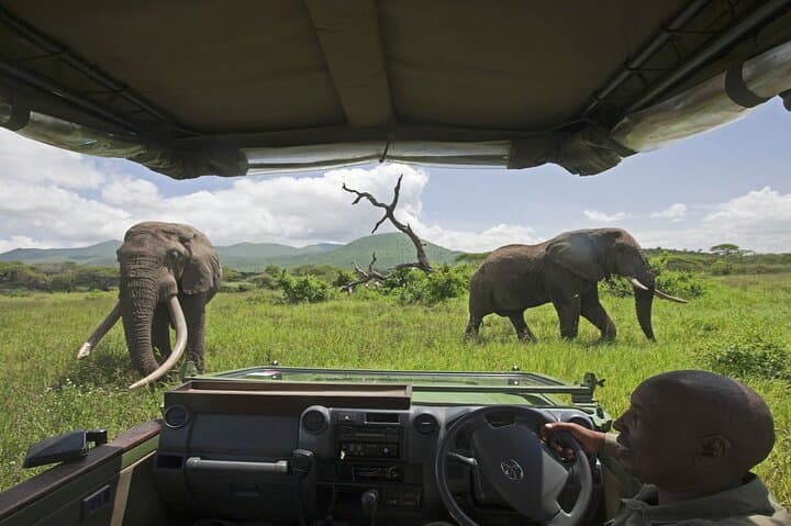 Full-Day Chobe Safari and Sunset River Cruise from Victoria Falls photo 6