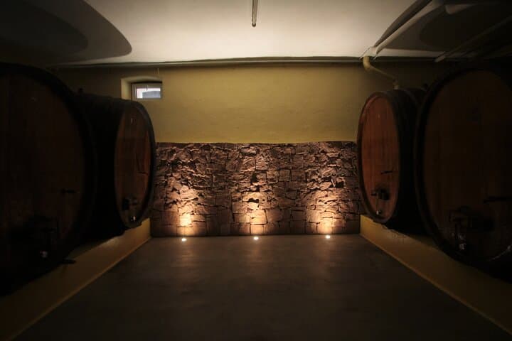 walking-the-mandelberg-vineyard-wine-tour-tasting-in-alsace photo 5