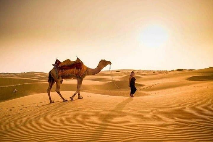 Overnight Desert Camping at Jaisalmer — Swiss Tents, Camel Rides & Folk Evenings photo 2