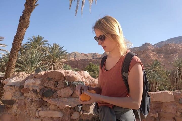 Canyoning Sinai: Colorful Canyons and Khudra Spring Oasis Day Adventure photo 3
