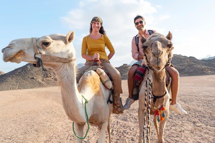 Agadir Camel Ride: 2-Hour Dune & Beach Camel Experience