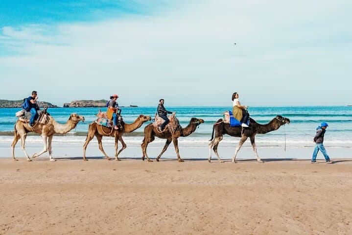 Agadir Camel Ride: 2-Hour Dune & Beach Camel Experience photo 4