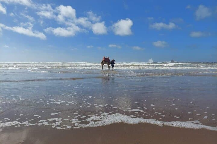 Agadir Mini Sahara Day Trip: Tifnit Coast, Massa Reserve & Berber Lunch photo 5
