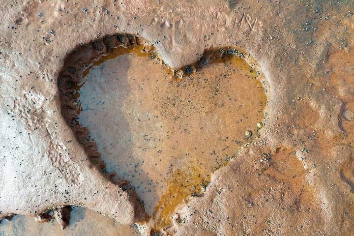 Agadir Mini Sahara Day Trip: Tifnit Coast, Massa Reserve & Berber Lunch photo 4